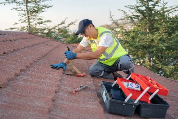Best Local Roofing Companies  in Nikiski, AK