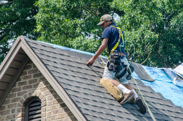 Best Tile Roofing Contractor  in Nikiski, AK