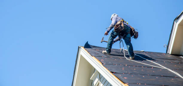 Roof Gutter Cleaning in Nikiski, AK
